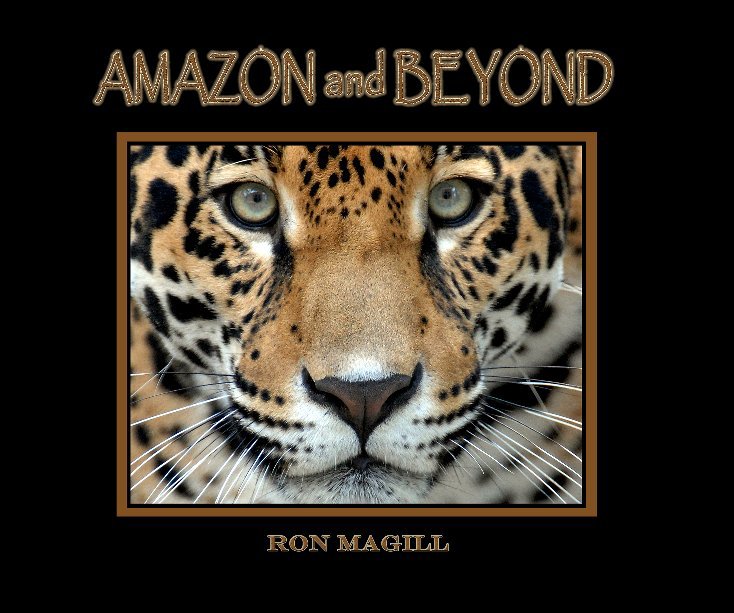 Ver Amazon and Beyond por Ron Magill