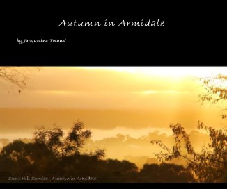 Autumn in Armidale book cover