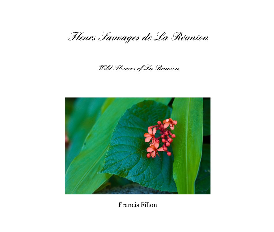 View Fleurs Sauvages de La Réunion by Francis Fillon