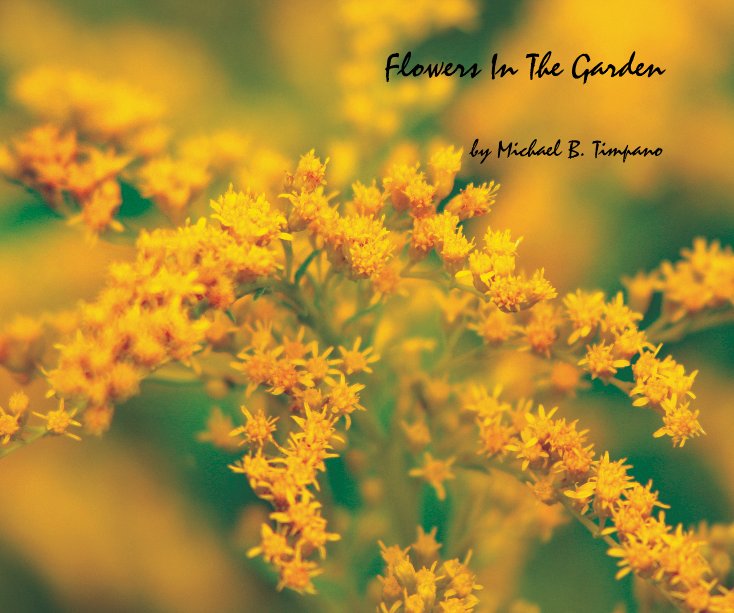 Ver Flowers In The Garden por Michael B. Timpano