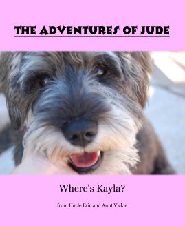 The Adventures of Jude book cover