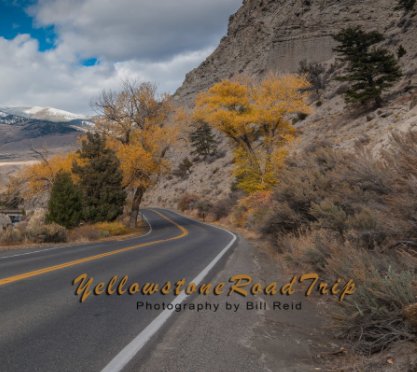Yellowstone Road Trip book cover