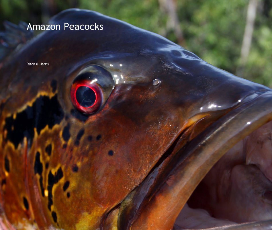 Visualizza Amazon Peacocks di Dizon & Harris