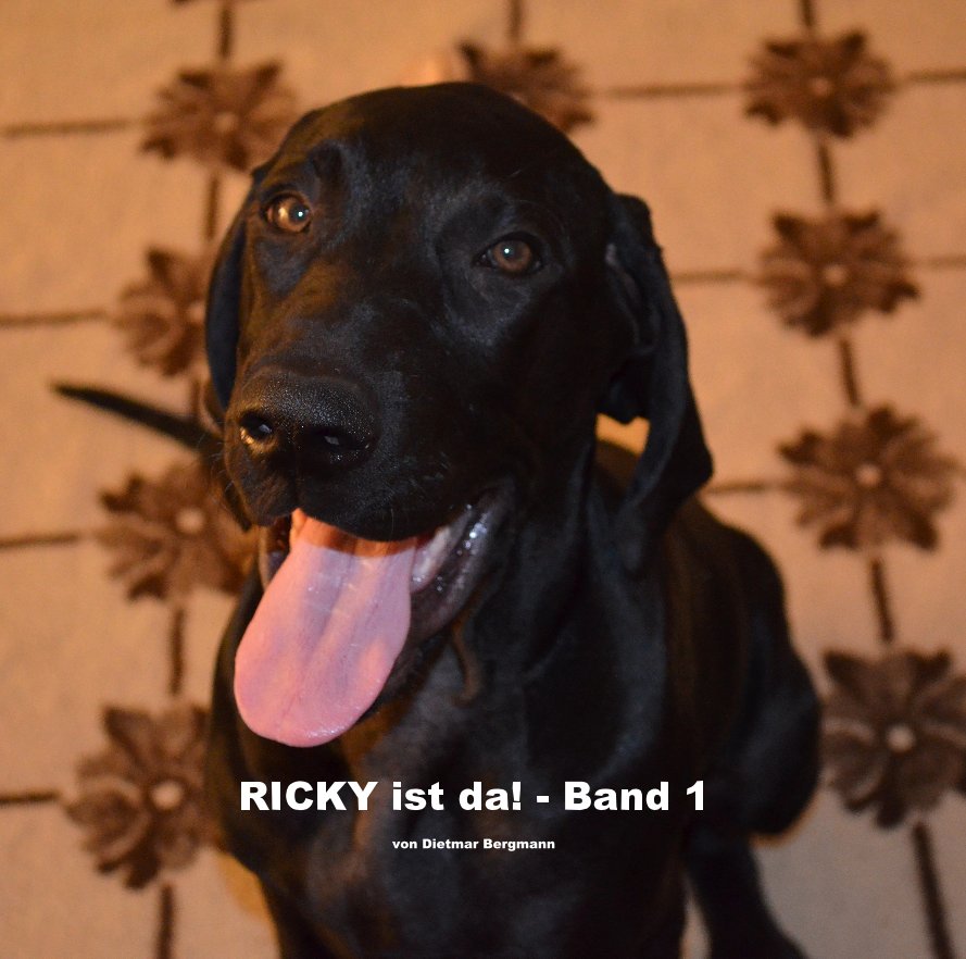 View RICKY ist da! - Band 1 by Dietmar Bergmann