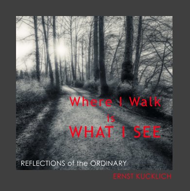 Where I Walk is WHAT I SEE book cover