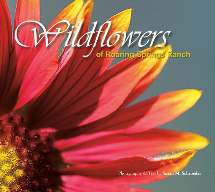 Ver Wildflowers of Roaring Springs Ranch - Hardcover por Susan M. Schroeder