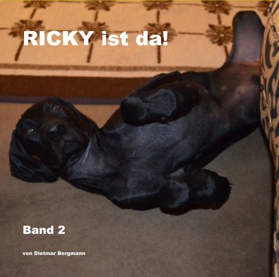 RICKY ist da! - Band 2 book cover
