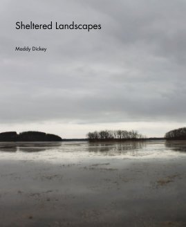 Sheltered Landscapes Maddy Dickey book cover