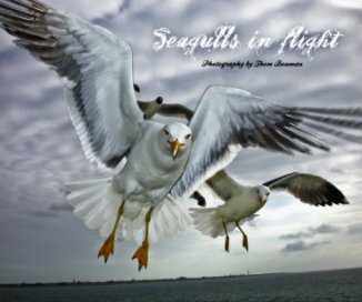 Seagulls in flight book cover