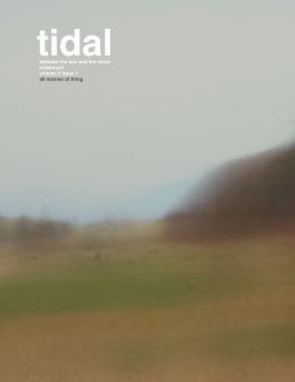 Tidal book cover