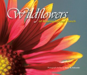 Wildflowers of Roaring Springs Ranch - Softcover book cover
