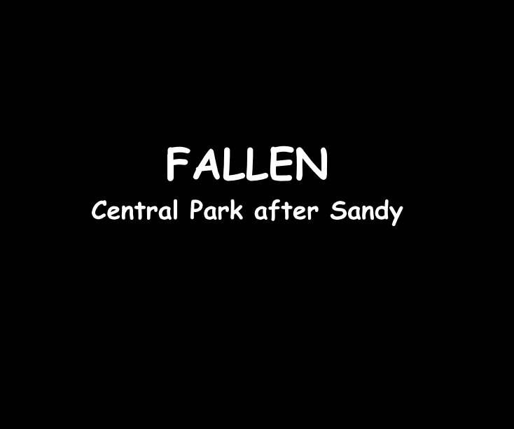Ver FALLEN 
Central Park after Sandy por Ron Dubren