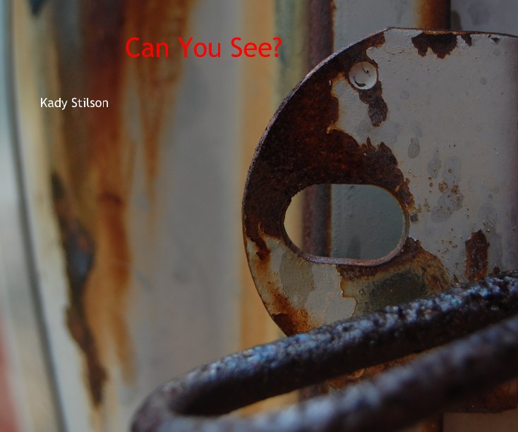 Ver Can You See? por Kady Stilson