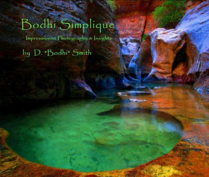 Bodhi Simplique Impressionist Photography and Insights book cover