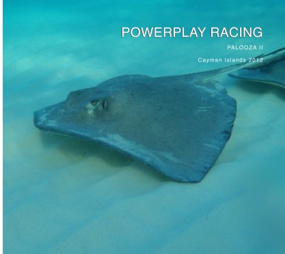 PowerPlay Palooza II book cover