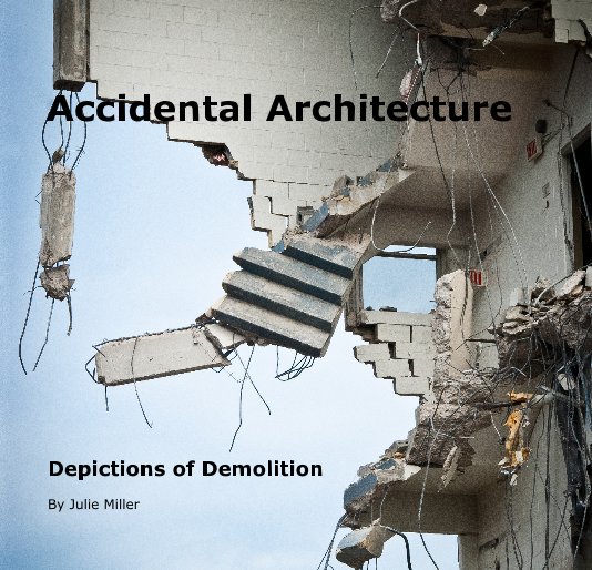 View Accidental Architecture by Julie Miller