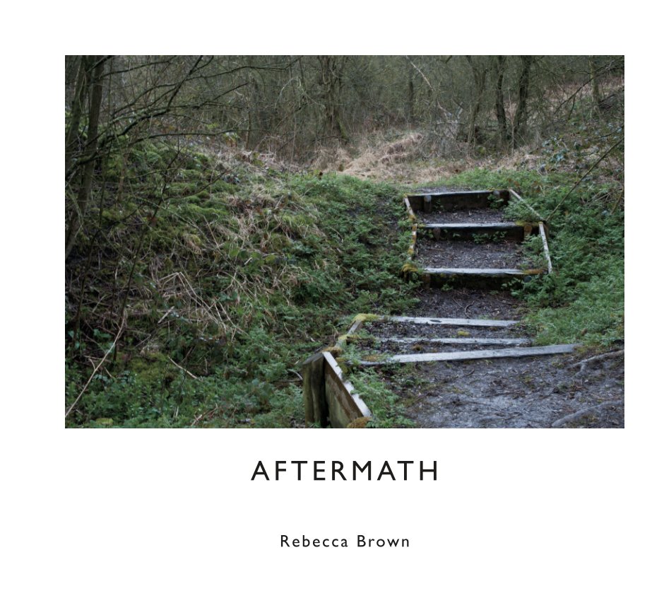View AFTERMATH by Rebecca Brown