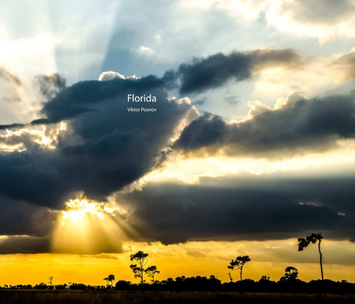 View Florida by Viktor Posnov