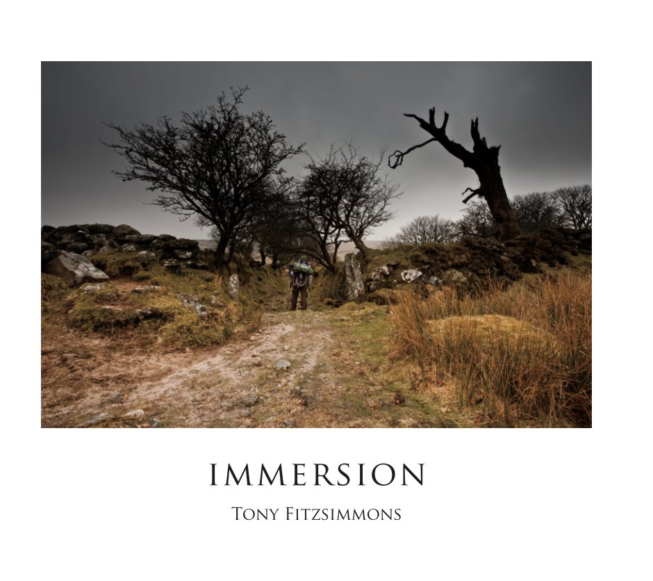 View Immersion by Tony Fitzsimmons