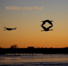 Wildlife of the West book cover