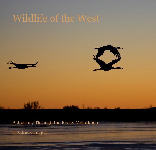 View Wildlife of the West by Richard Corrington