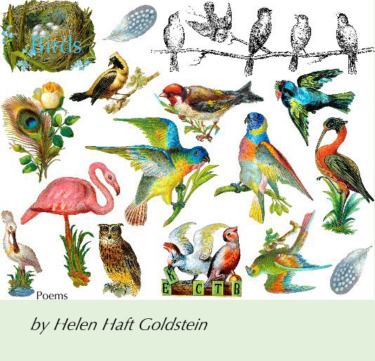 Ver Birds por Helen Haft Goldstein