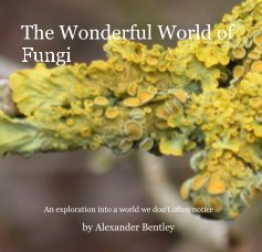 The Wonderful World of Fungi book cover