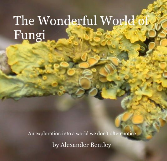 Visualizza The Wonderful World of Fungi di Alexander Bentley