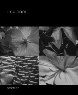 in bloom book cover