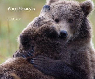 Wild Moments book cover