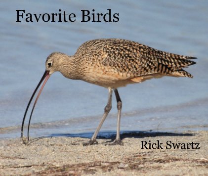 Favorite Birds book cover