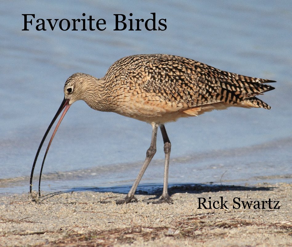 Favorite Birds nach Rick Swartz anzeigen