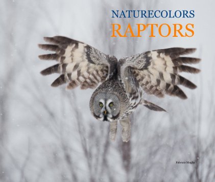 NATURECOLORS RAPTORS book cover