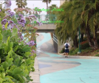 Vantage Points. book cover