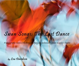 Swan Songs: The Last Dance book cover