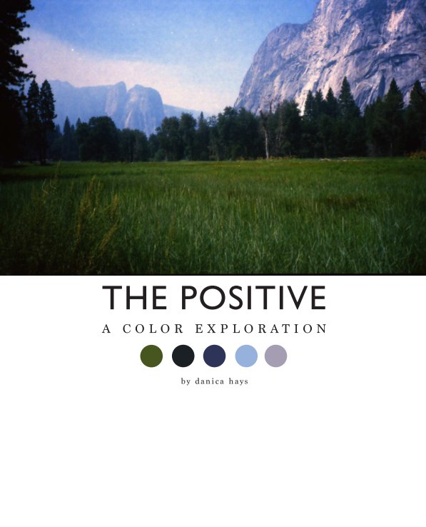View The Positive by Danica Hays
