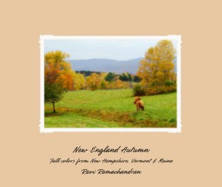 New England Autumn book cover