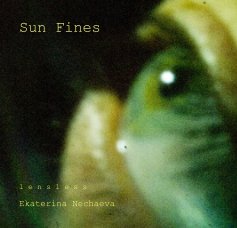 Sun Fines book cover