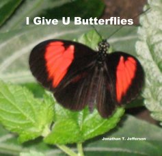 I Give U Butterflies book cover
