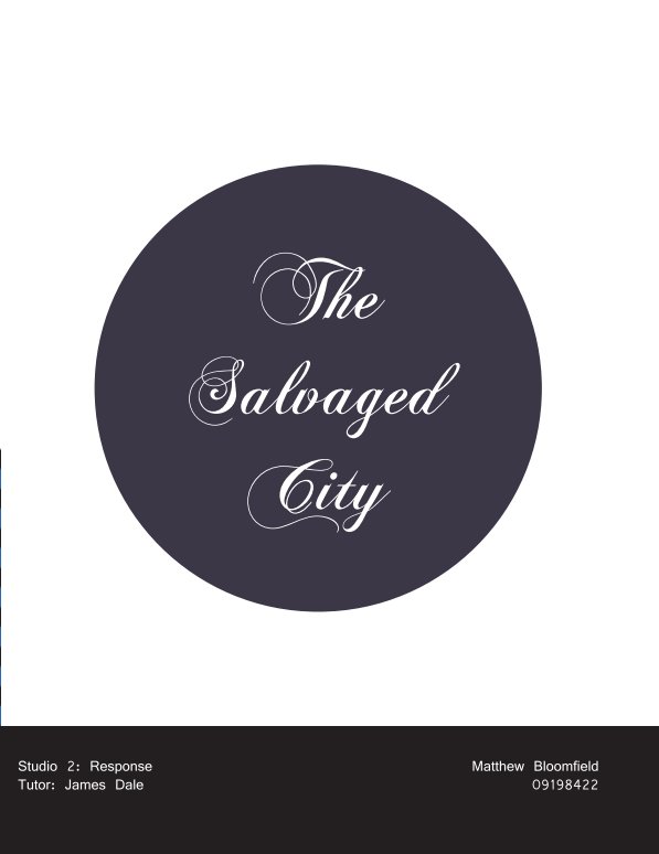 View The Salvaged City by Matthew Bloomfield