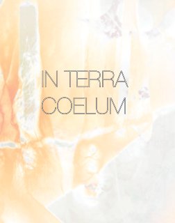 IN TERRA COELUM book cover
