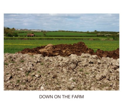 DOWN ON THE FARM book cover