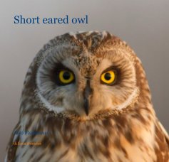 Short eared owl book cover