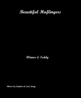 Beautiful Haflingers book cover