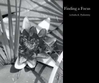 Finding a Focus book cover