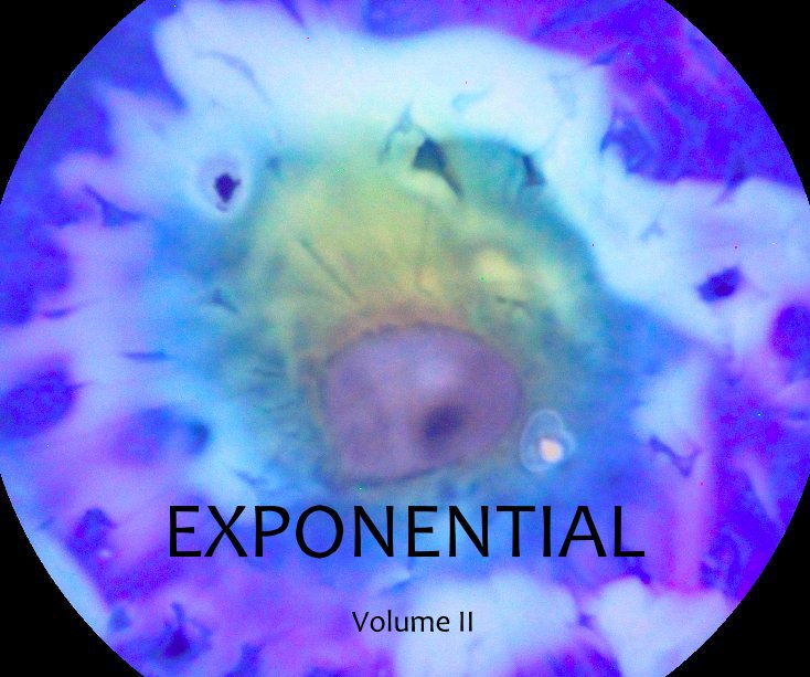 View EXPONENTIAL by Bethan Williams
