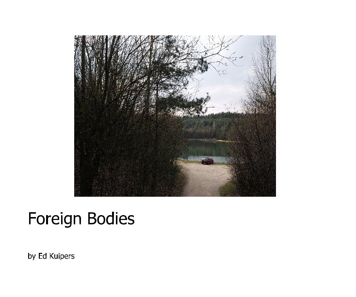 View Foreign Bodies by Ed Kuipers