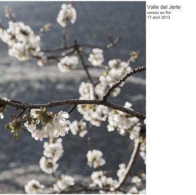 Valle del Jerte cerezo en flor book cover