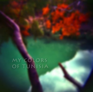 MY COLORS OF TUNISIA book cover