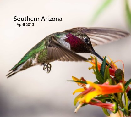 Southern Arizona book cover